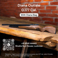 Diana Outlaw